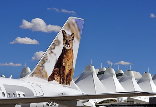 Sleek white aircraft with a large image of a mountain lion on the tail, set against a blue sky with puffy clouds.